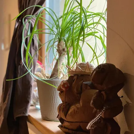 Captain Marino 公寓 皮兰