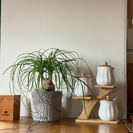 Captain Marino Piran