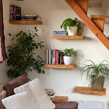 Captain Marino 皮兰