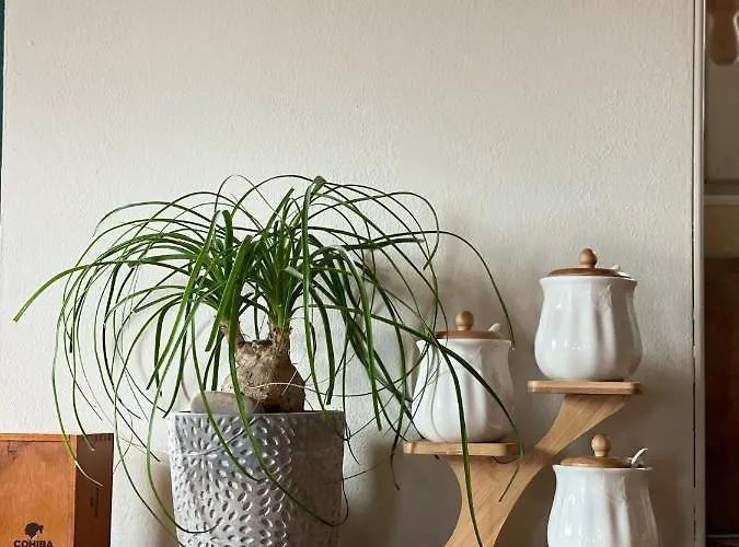 Captain Marino Πιράν