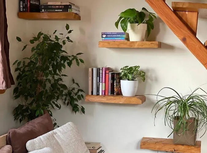 Captain Marino Πιράν