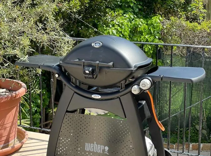 Captain Marino * ピラン