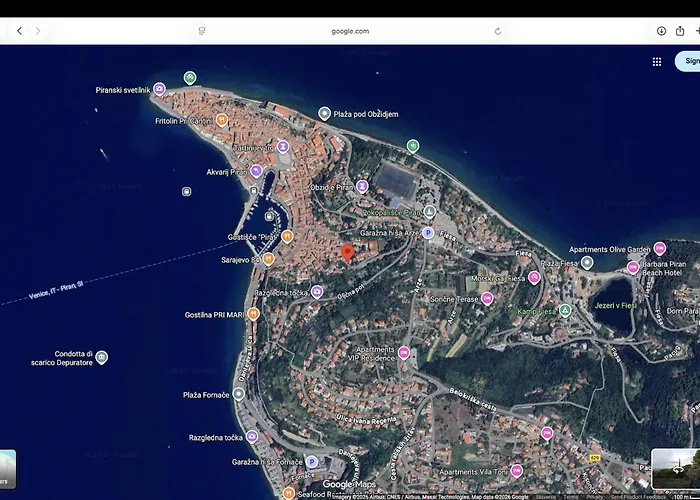 Captain Marino ピラン